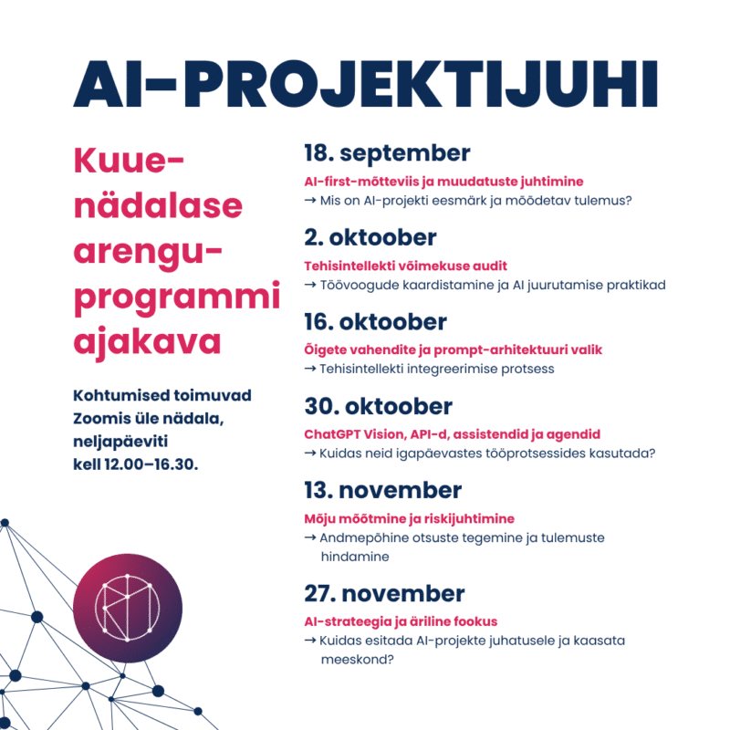 AI-projektijuhi 6-nädalane arenguprogramm (2026) - Image 2